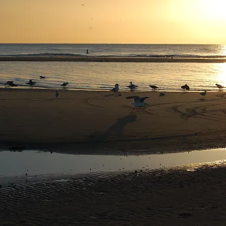 公寓 Vivacances Cote D'opale