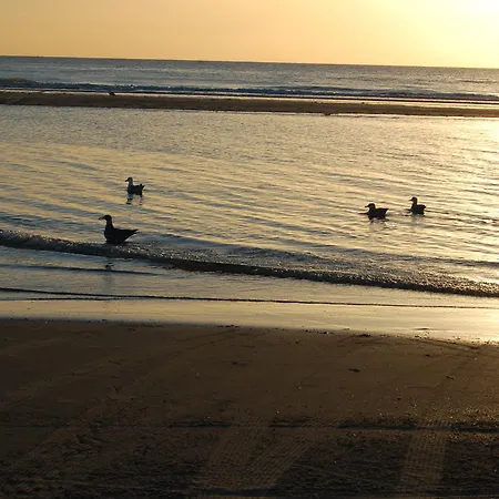 Vivacances Côte D'opale